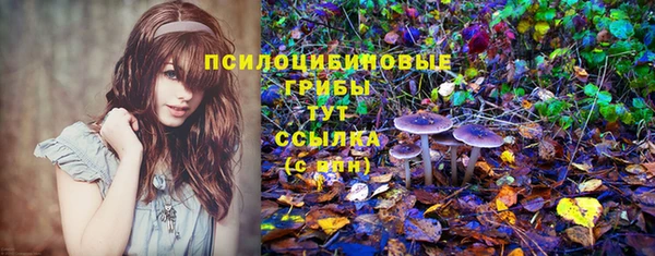 спайс Беломорск